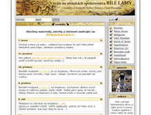 Tablet Screenshot of bilelamy.cz